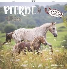 2026 HORSES - CALENDARIO 30 X 30