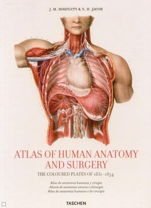 ATLAS OF HUMAN ANATOMY AND SURGERY