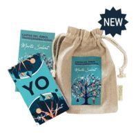 CARTAS DEL ARBOL TRANSGENERACIONAL