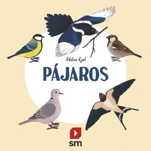 NATURALEZA PAJAROS