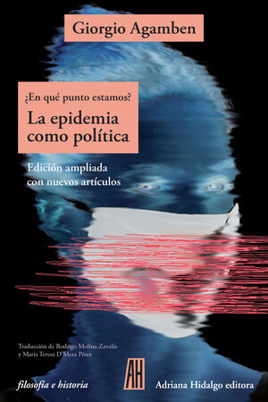 LA EPIDEMIA COMO POLÍTICA (NE)
