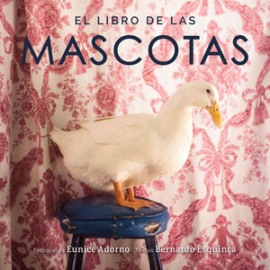 LIBRO DE LAS MASCOTAS,EL