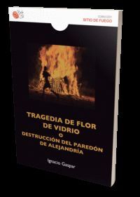 TRAGEDIA DE FLOR DE VIDRIO O DESTRUCCION PAREDON DE ALEJAND