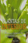 PLANTAS DE INTERIOR