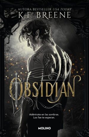 LOS FAE DE LAS SOMBRAS 1 - OBSIDIAN