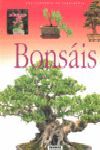 BONSÁIS