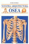 NUESTRA ARQUITECTURA OSEA