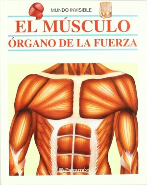 MUSCULO, ORGANO DE LA FUERZA, EL
