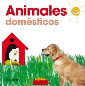 ANIMALES DOMÉSTICOS