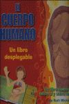 EL CUERPO HUMANO