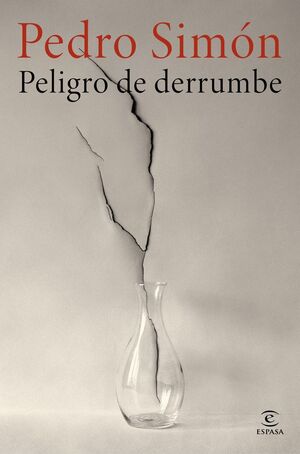 PELIGRO DE DERRUMBE