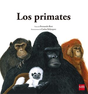 NATURALEZA 02. LOS PRIMATES