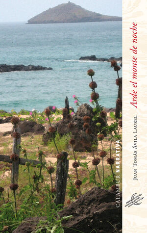 ARDE EL MONTE DE NOCHE