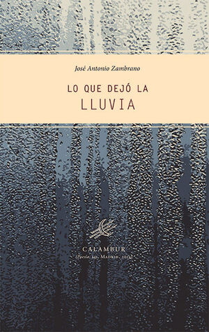LO QUE DEJÓ LA LLUVIA