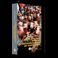 LOS CERDOS ENTRAN ORDENADAMENTE AL MATADERO