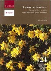 PRINCESS TOP EN EL BOSQUE