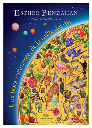 UNA HORA SOLAMENTE, DE LA ORILLA DEL DÍA