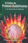 EL CULTIVO DE PRÓTEAS SUDAFRICANAS EN CANARIAS