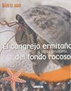 EL CANGREJO ERMITAÑO Y OTRAS CRIATURAS DEL FONDO