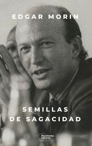 SEMILLAS DE SAGACIDAD